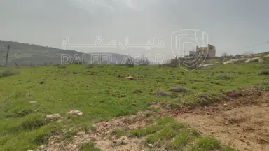 أرض - للبيع قطعة ارض في ناعور حوض عيون الجاموس - 128790 دأ